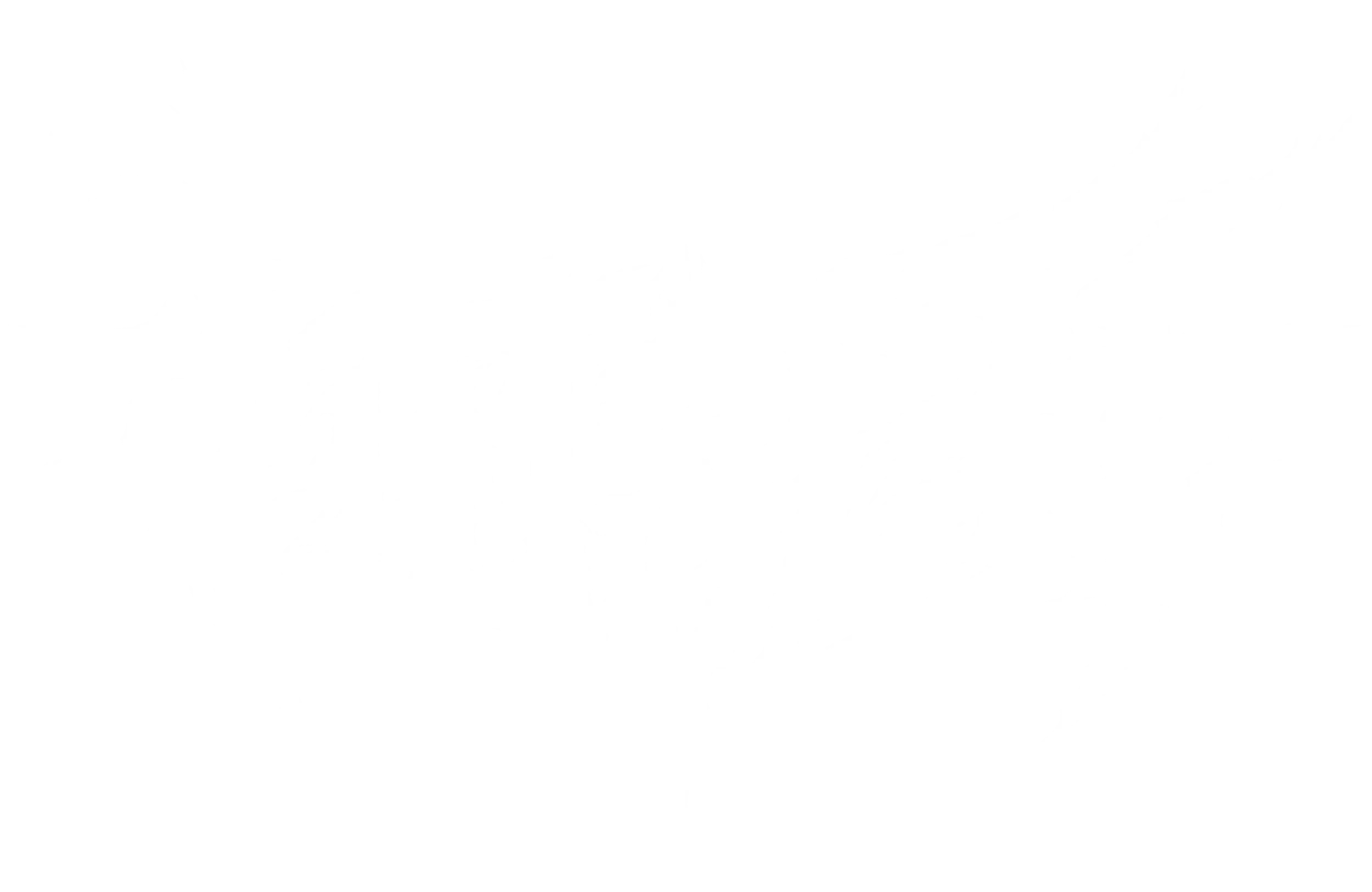 PUTSCH Agency logo